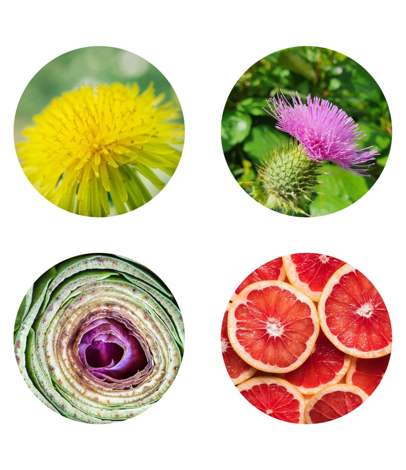Proč je detoxikace tolik důležitá?